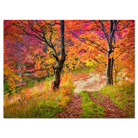 Designart - Bright Colorful Fall Trees in Forest